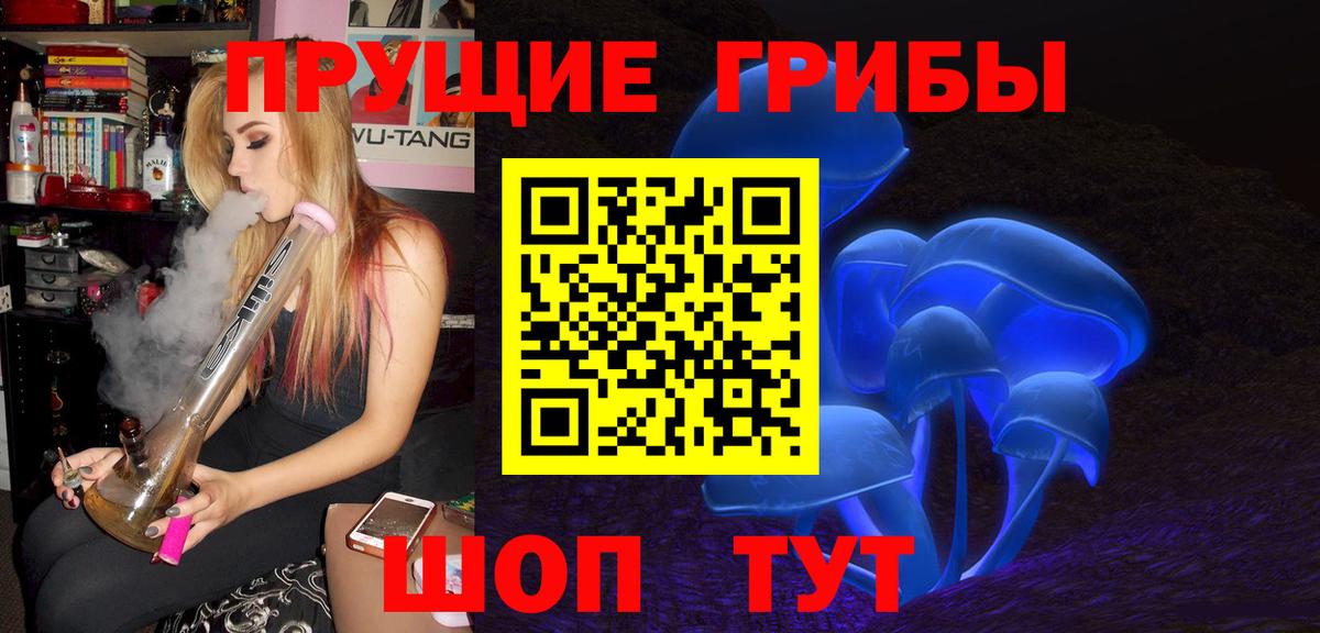 Кашира  купить наркотик  Вход с VPN  Псилоцибиновые грибы мицелий 