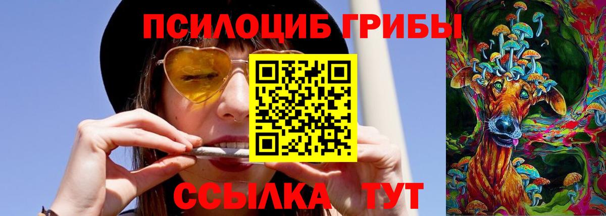 Галлюциногенные грибы мухоморы Кашира